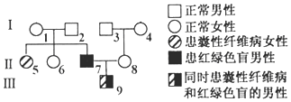 作业帮