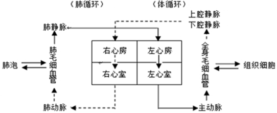 作业帮