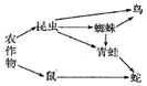 作业帮