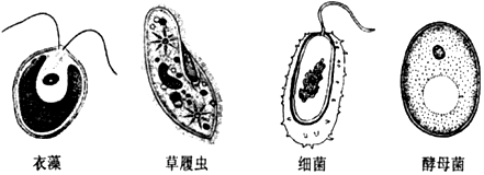 作业帮