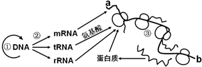 作业帮