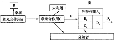 作业帮