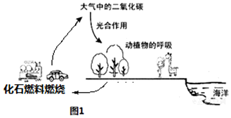 作业帮