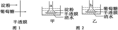 作业帮