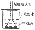 作业帮