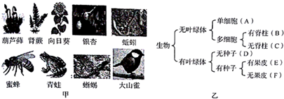 作业帮