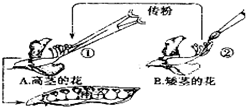 作业帮