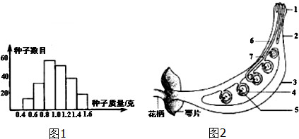 作业帮