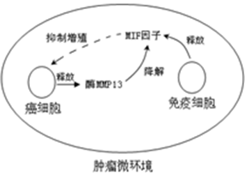 作业帮