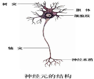 作业帮