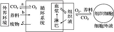 作业帮