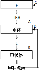 作业帮