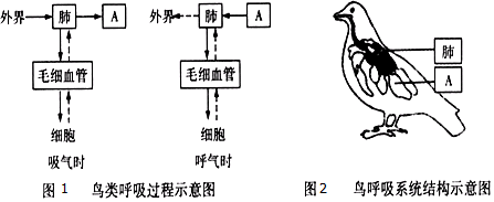 作业帮