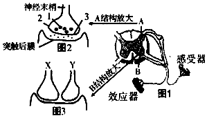 作业帮