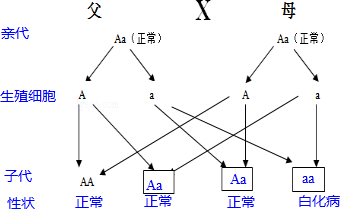 作业帮