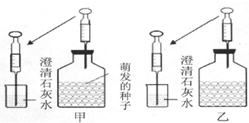 作业帮