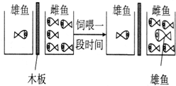 作业帮