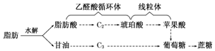 作业帮