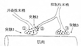 作业帮