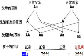 作业帮