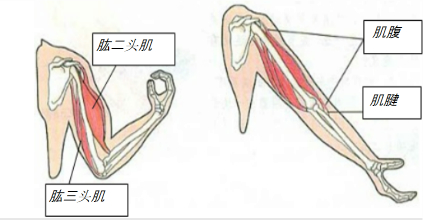 作业帮