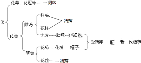 作业帮