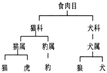 作业帮