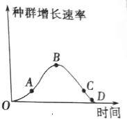 作业帮