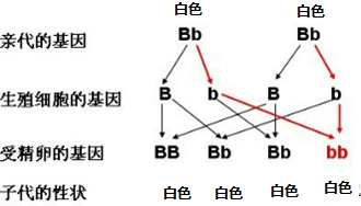 作业帮