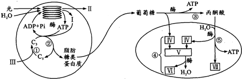 作业帮