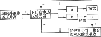 如下图为人体水盐平衡调节示意图据图回答下列问题