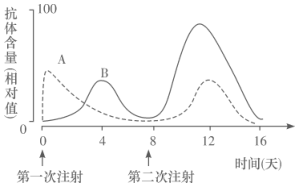 作业帮