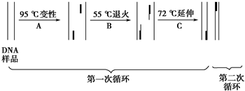 作业帮