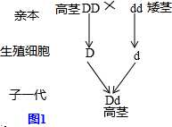 作业帮