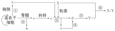 作业帮