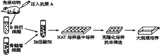 作业帮