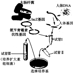 作业帮