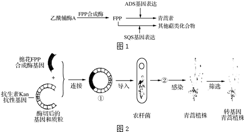 作业帮