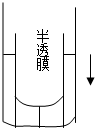 作业帮