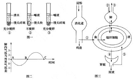 作业帮