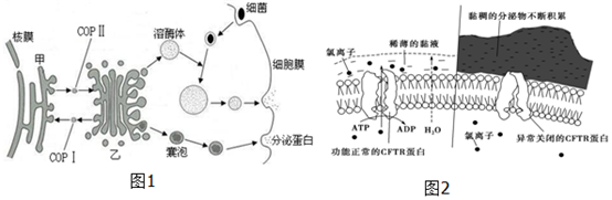 作业帮