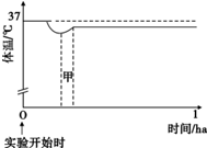 作业帮