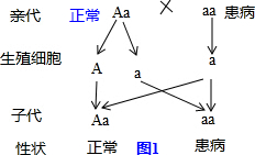 作业帮