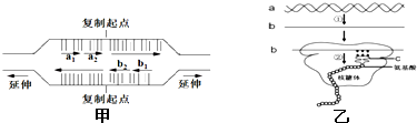 作业帮