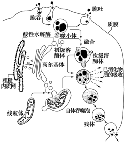 作业帮