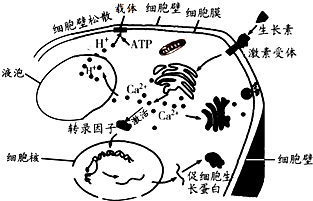 作业帮