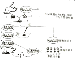 作业帮