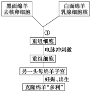 作业帮