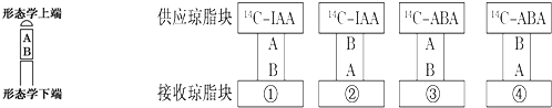 作业帮