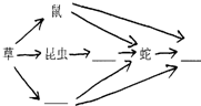 作业帮